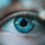 Eyes Wide Open