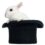 Rabbit Time